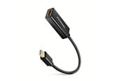 Skjermkabel - AXAGON RVDM-HI14N videokabeladapter - RVDM-HI14N