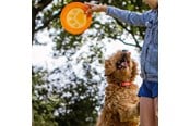 Hund - Nobby TPR frisbee - Pote - L61531
