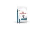 Katt - Royal Canin VET FELINE HYPOALLERGENIC DR25 2.5 kg - 3182550939478