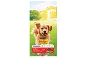 Hund - PURINA NESTLE Friskies Active - dry dog food - 10 kg - 7613031395484