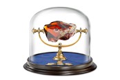 Reklameartikler - Harry Potter - Sorcerer's Stone Display - NN7386