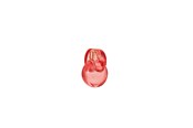 Parfyme & Dufter - Bvlgari Omnia Coral Eau de toilette - 100 ml - 783320425493