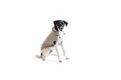 Hund - Chill Kuzzi Beroligende Hoodie 30 cm grå - 380430