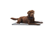 Hund - KRUUSE Vet Bed Anti-slip grå 75 x 50 cm - 381614