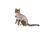 Katt - KRUUSE BUSTER Body Suit Step'n Go til katt, XS - 273948