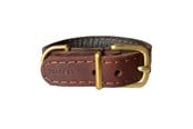 Hund - Timely TEXAS halsbånd mørkebrun 30 mm. / 50 cm. - 5907784919076
