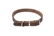 Hund - Timely PRAG Halsbånd Mørkebrun 25 mm. / 60 cm. - 5907784897022