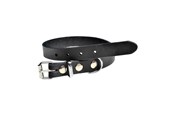 Hund - Timely PRAG halsbånd svart 16 mm. / 40 cm. - 5907784897084