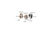 Hund - Party Pets Bland Ilder, Kanin, Dalmatiner 18 cm - 87962