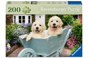 Puslespill - Ravensburger Golden Retriever 200p Ad - 12001368