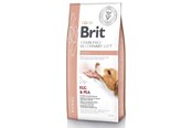 Hund - Brit GF Veterinary Diets Renal - tørr hundemat - 12kg - 8595602528189