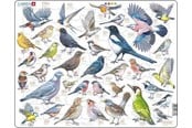 Puslespill - Larsen Puzzles Puslespill Hagefugler - 69 brikker, Maxi (36.5x28.5 2D Puslespill - ZOO4-V1