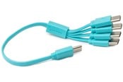 USB - paleblue Pale Blue Cable USB-C to USB-C 4 charging ports 1 - PB-USBCL-4C