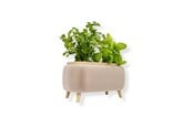 Dekorasjon - Simiu - Thalor Herbs - krydder urtepotte - Stor - 5714255019612