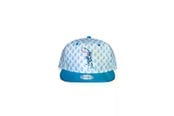 Reklameartikler - Difuzed - Pokémon Greninja snapback-caps - SB251647POK