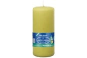 Dekorasjon - Asp-Holmblad Lavutslipps Kubbelys Dusty Green - 70721