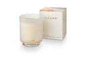 Dekorasjon - ILLUME Driftwood Box Glass Candle - White - 4537500500