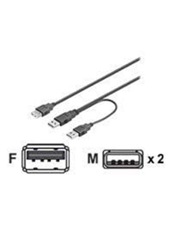 Deltaco USB-strømkabel Y-kabel 2xType