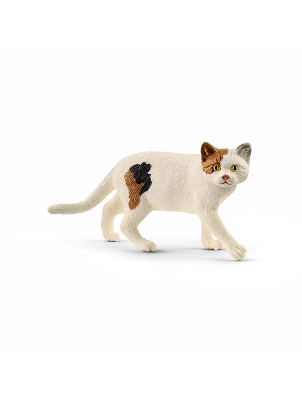 Schleich Amerikansk korthårskatt