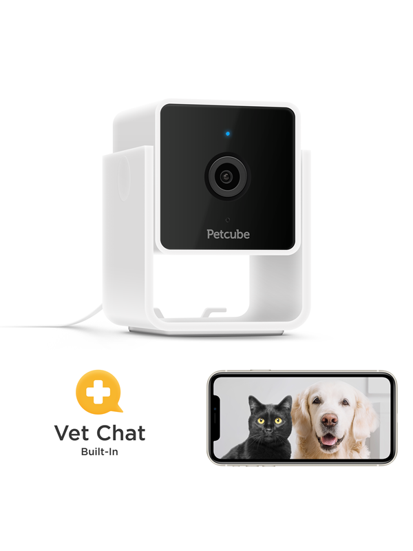 Petcube Cam
