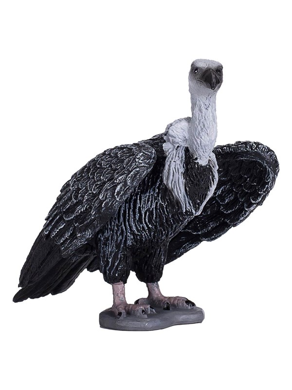 Mojo - Wildlife Griffon Vulture - 387165