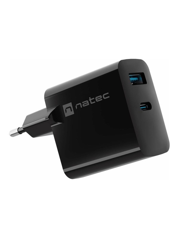 Natec Ribera power adapter - GaN - USB 24 pin USB-C - 45 Watt