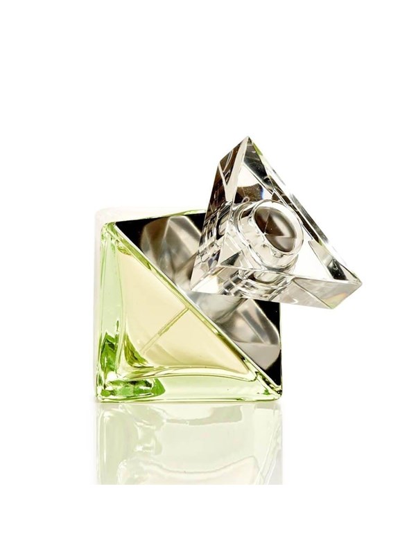 Britney Spears Believe Eau de Parfum 30 ml