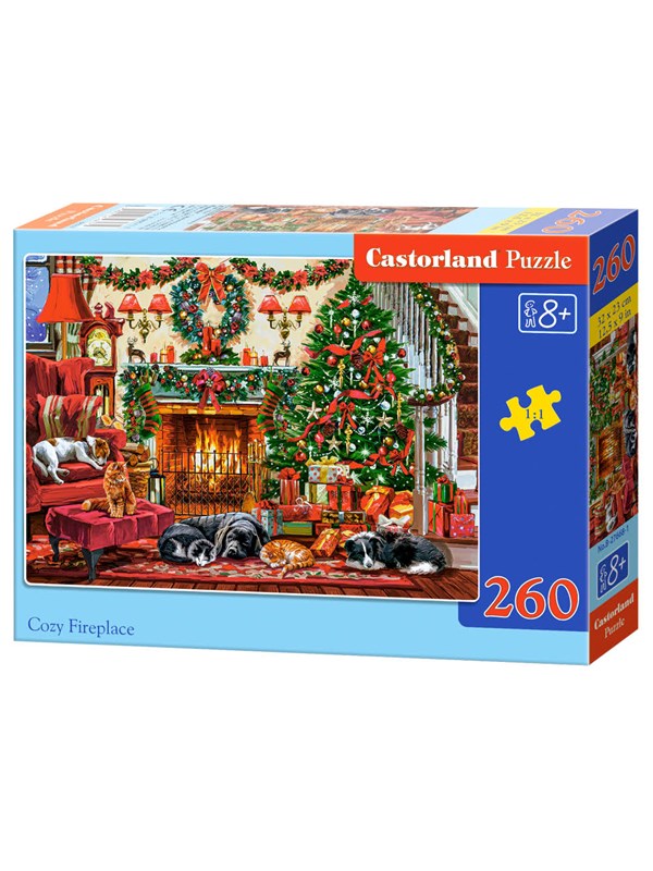 Hygge ved pejsen (260)