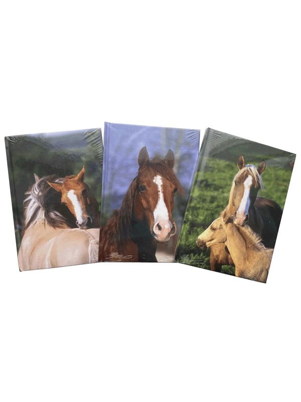 Hobby Mate Notebook A5 126*180mm. Horse motif.100254