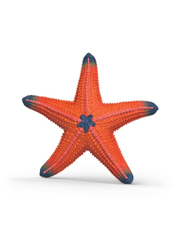 Starfish with color change