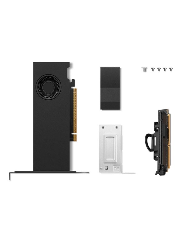 RTX PRO 2000 Blackwell - 16GB GDDR7 RAM - Grafikkort