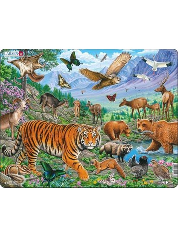 Larsen Puzzles Puslespill Sibirsk tiger sommer - 36 brikker, Maxi 2D Puslespill
