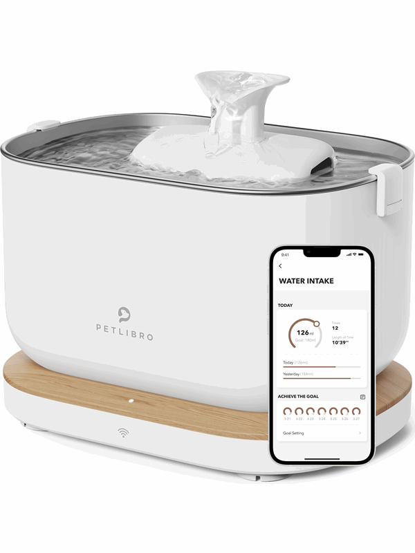 Petlibro Dockstream smart wifi fountain white