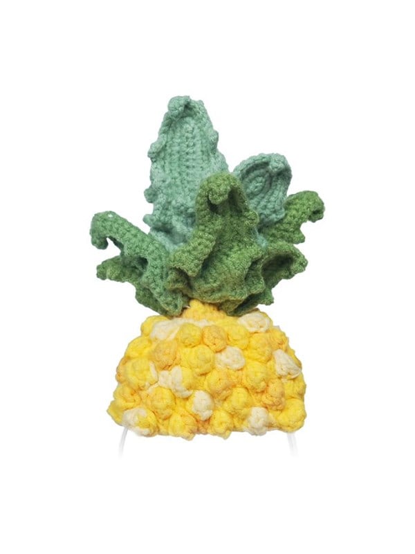 Loona Premium Pineapple Knitted Costume