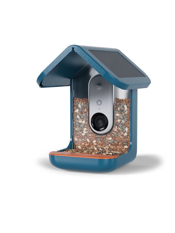 Bird Buddy - Smart Bird Feeder with Solar Roof - Blue