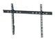 73202071