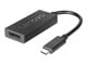 Skjermkabel - Lenovo USB / DisplayPort adapter - 3840x2160 60 Hz - DisplayPort 1.2a - 4X90Q93303