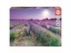 80-19255