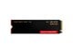 WDS100T1X0M-00CMT0