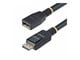 10F-DP14-EXTEND-CBL