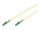 DK-2933-10-APC-SX