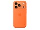 Mobil - Deksel og etui - Apple iPhone 17 Pro Silicone Case with MagSafe – Orange - MGFE4ZM/A