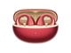 T33S Red