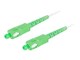 FO-SASA-SS21-0100-WH