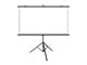 BW-VS12 100-inch