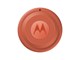 Mobil - Andre tilbehør - Motorola moto tag 2 - PANTONE Arabesque (1x) - PG38C08027