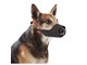 279403