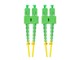 FO-SASA-SD11-0020-YE