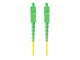 FO-SASA-SS11-0030-YE