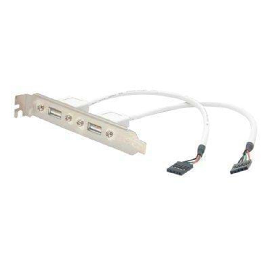 Strømkabel (intern) - StarTech.com 2 Port USB A Female Slot Plate Adapter - USBPLATE